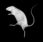 i20100520112922_download_full